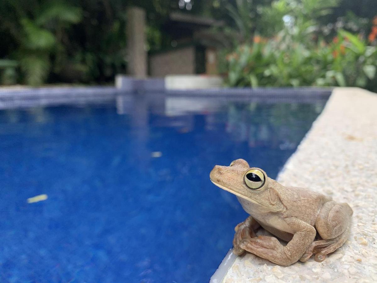 La Posada Jungle Hotel Мануель-Антоніо Екстер'єр фото