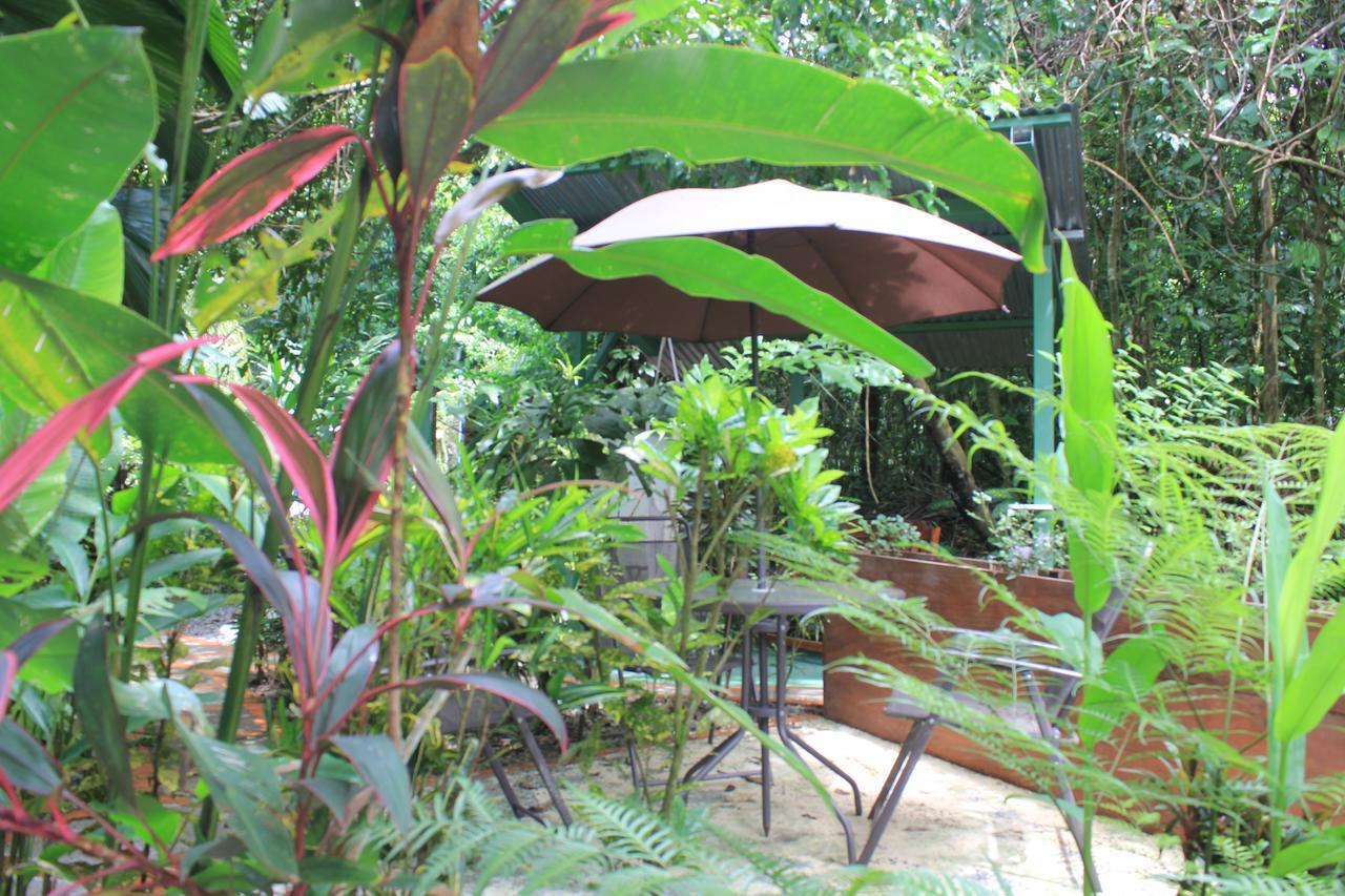 La Posada Jungle Hotel Мануель-Антоніо Екстер'єр фото