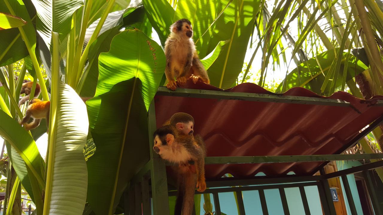 La Posada Jungle Hotel Мануель-Антоніо Екстер'єр фото